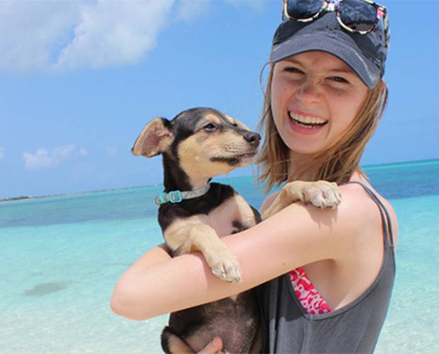 Les animaux de compagnie séjournent GRATUITEMENT en mai 2022 ! Comitas Hotels Les animaux de compagnie séjournent GRATUITEMENT en mai 2022 ! Comitas Hotels
