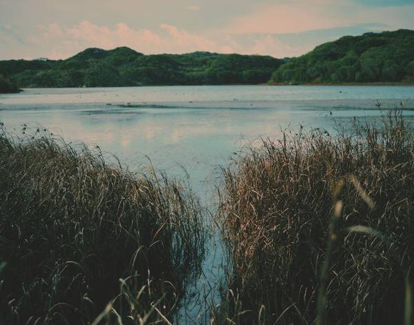 Parc naturel s'albufera des grau Comitas Floramar  Menorca