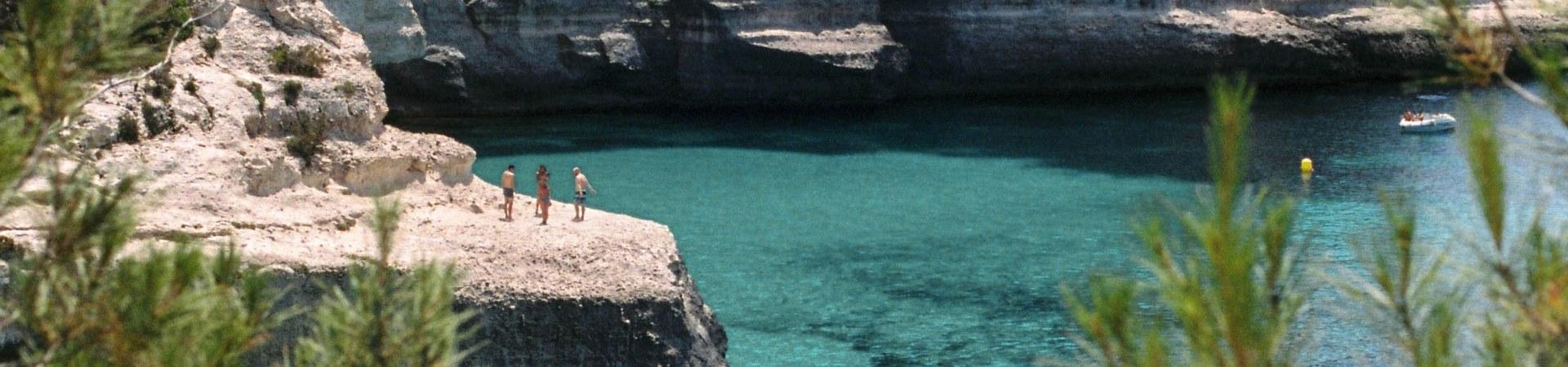 Comitas Hotels - - Comitas Hotels - -